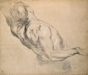Studie van een mannelijk naakt torso, 1600-1640
