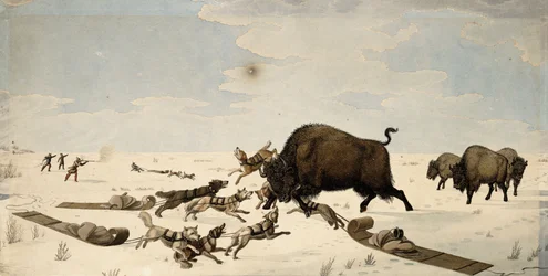 Buffeljacht, ca. 1822-1824