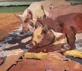 Varkens in zonlicht en modder