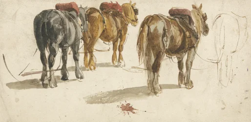 Drie Trekpaarden in Sporen, Achteraanzicht