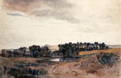 Landschap met bomen en vee bij een vijver