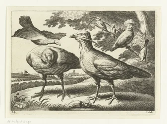 Trapganzen en een kaketoe; Diversarum avium species (series title); Verschillende vogels (series title)