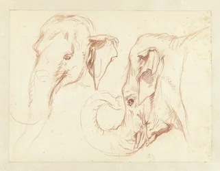 Twee schetsen van het hoofd van een olifant