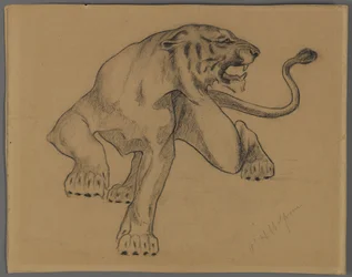 Tijger