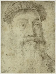 Foto van Bronzino