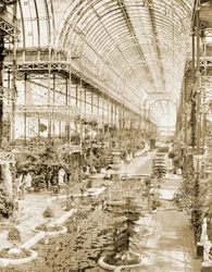 Het interieur van het schip genomen vanuit de galerij boven het Koninginnen Scherm aan de zuidkant c.1859