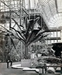 Tropische Planten in de Egyptische Kamer, Crystal Palace, Sydenham, Londen