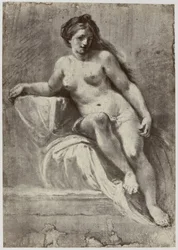 Zuccarelli, Een studie