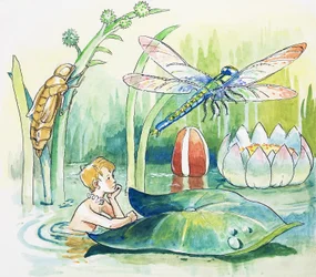 Libelle, illustratie uit 