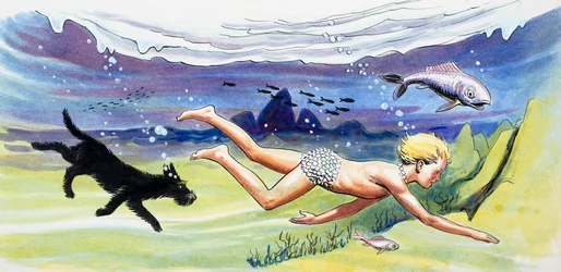 Zwemmen met de vissen, illustratie uit 