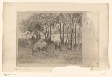 Schaapskudde en herder in een weide met bomen