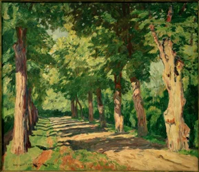 Lindenlaan