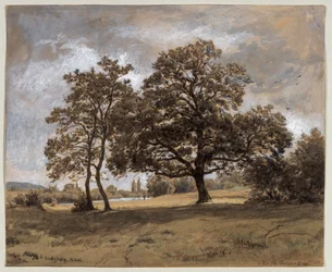 De Otto-Fröhlicher-Eik