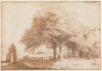 Hoge bomen voor een boerderij