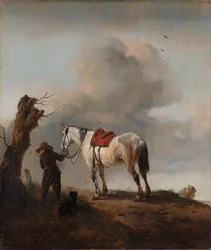 Het grijze paard