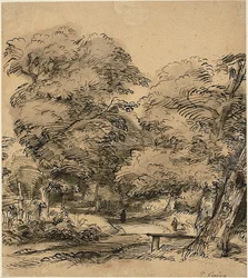 Een pad in het bos