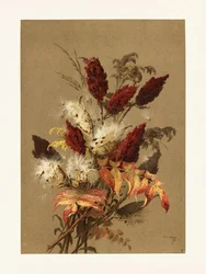 Sumak en kroontjeskruid Door Ellen Thayer Fisher