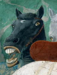De legende van het Ware Kruis, de ontvangst van de koningin van Saba door koning Salomo, detail van een paard, voltooid in 1464
