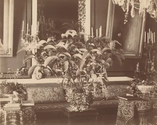 Interieur,jaren 1860 (foto)