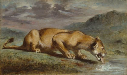 Gewonde leeuwin
