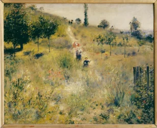 Stijgend Pad in het Hoge Gras