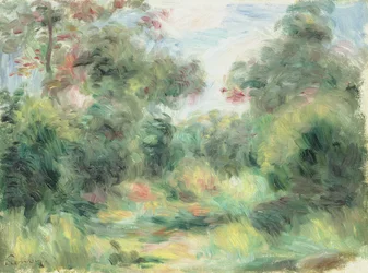 Clairiere