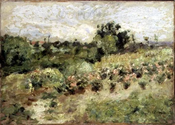 Veld van rozen