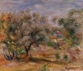 Olijfboom in Les Collettes, ca. 1910-15 (olieverf op doek)