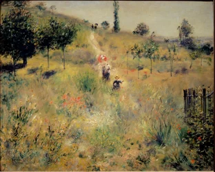 Pad stijgend in het hoge gras