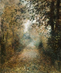 Bos