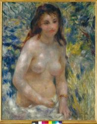 Tors van een vrouw in de zon