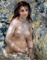 Torso, effect van zon