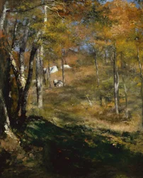 Jonge bomen in het bos