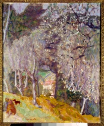 Huis in de olijven
