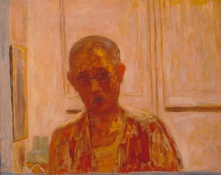 Zelfportret in spiegel