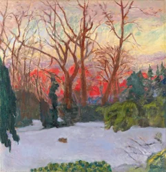 De tuin onder sneeuw, zonsondergang