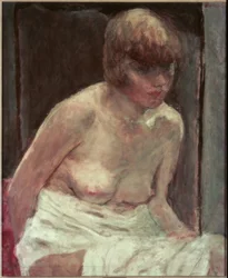 Tors van een jonge vrouw in witte peignoir
