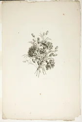 Boeket met anjers, uit de collectie van verschillende bloemenboeketten, bedacht en getekend door Jean Pillement en gegraveerd door P. C. Canot