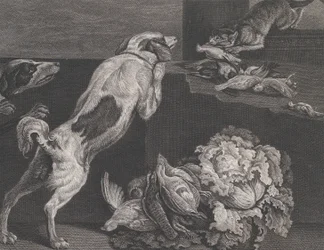 Honden en Stilleven, 1778