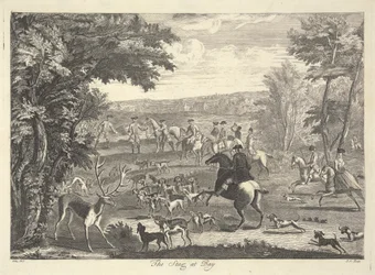 Het Hert in het Nauw