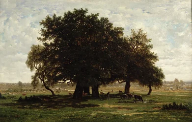Steeneiken, Apremont, 1850-52