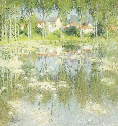 Zomerlandschap