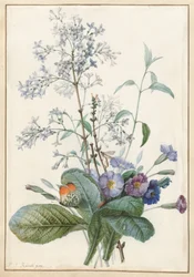 Een boeket bloemen met insecten