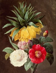 Exotische Bloemen