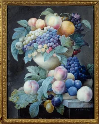 Druiven in een beker