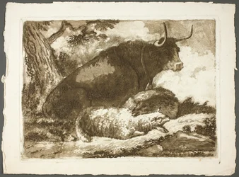 Een stier en twee schapen