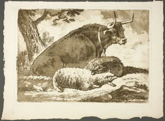 Een stier en twee schapen