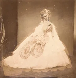La Bisi. Boudoir, grijze fluwelen jurk, roze moiré, roze bloemen, grijze bladeren van zijn mei, 1860s