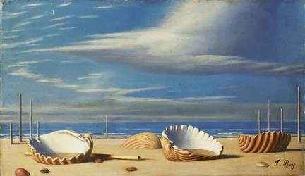 Schelpen op een Landschap