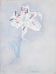 Lelie, ca. 1920-25